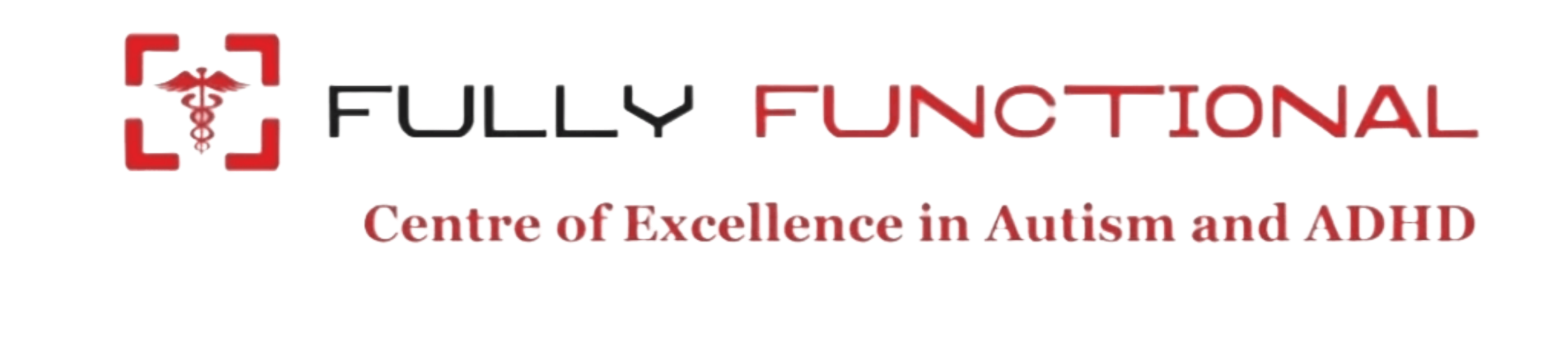 Fully Functional Autism CEntre